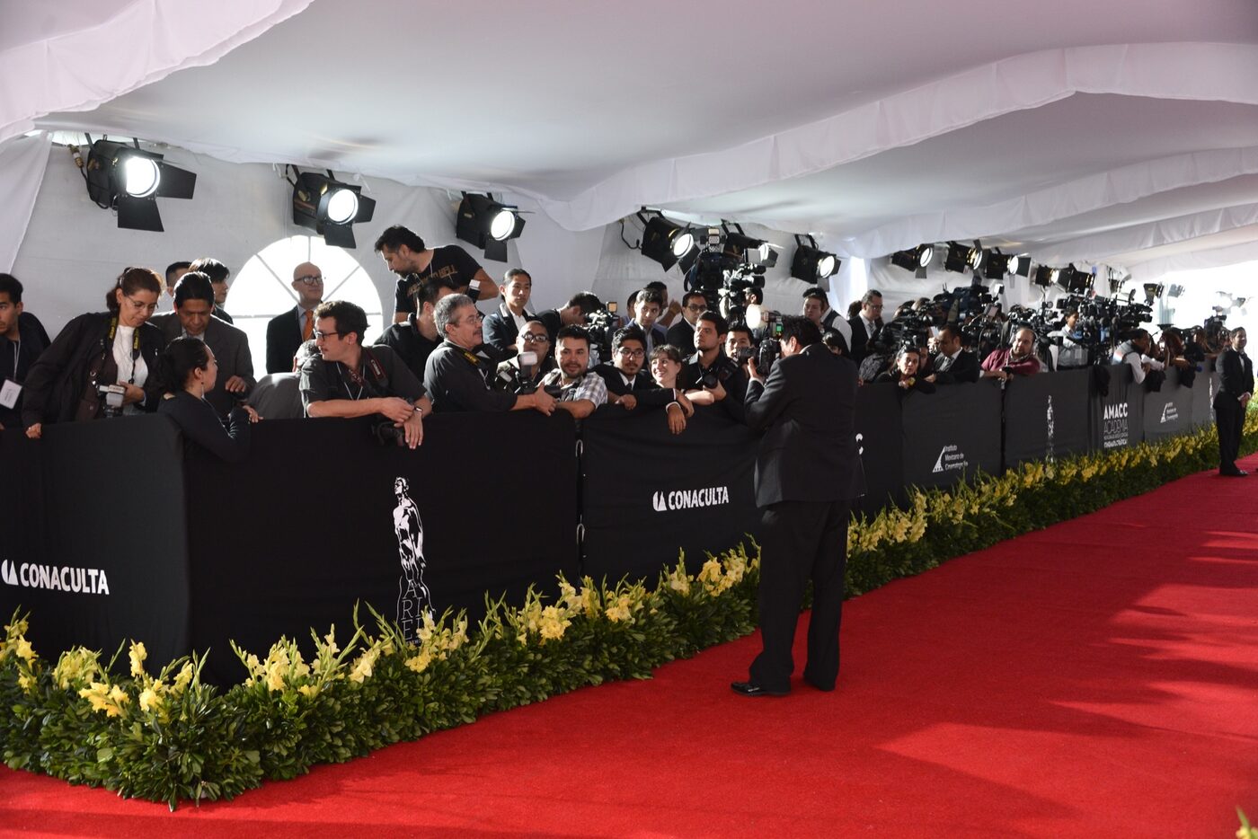 Materiales para Premios Ariel